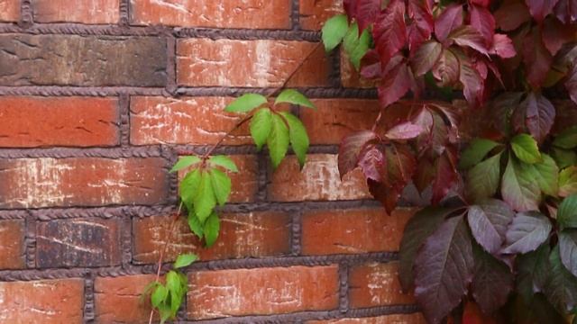 Стройкрасиво. Фасадная плитка | Облицовочный кирпич | Брусчатка. смотреть онлайн