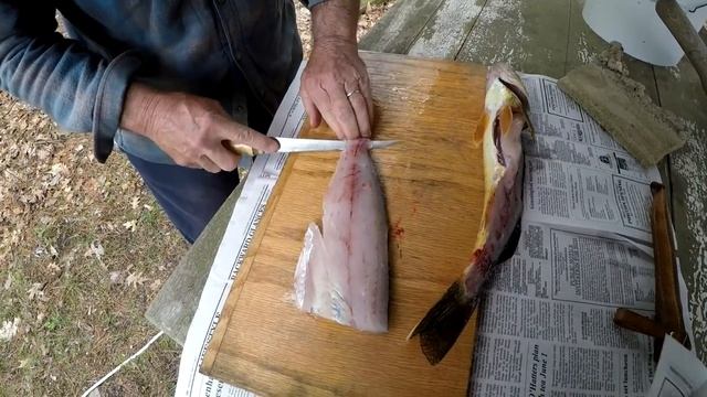 How To Clean And Fillet A Walleye Quickly and Easily… (Step By Step Instructions) смотреть онлайн