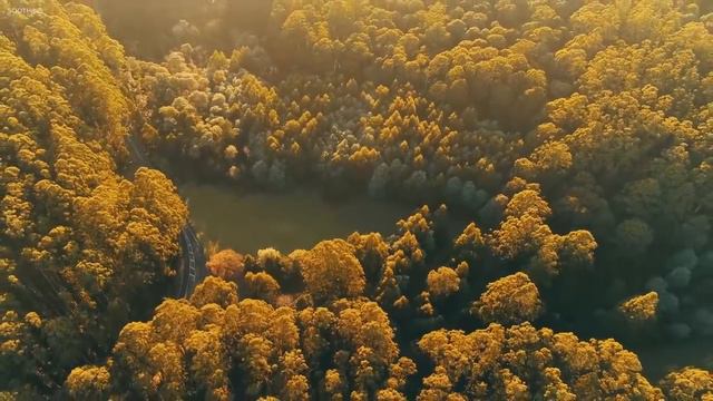 Расслабляющая музыка с пением птиц ─ красивая фортепианная музыка, гитара музыка успокаивающая рела смотреть онлайн