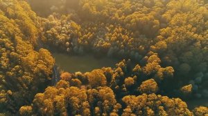 Расслабляющая музыка с пением птиц ─ красивая фортепианная музыка, гитара музыка успокаивающая рела