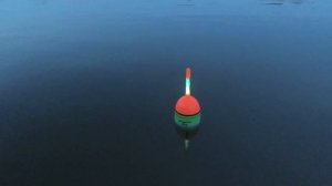 Ловля ТОЛСТОЛОБА в жару