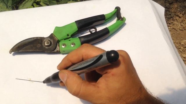 1-ci növ ling ( bağ qayçısı ve kağız✂️ qayçısı) смотреть онлайн
