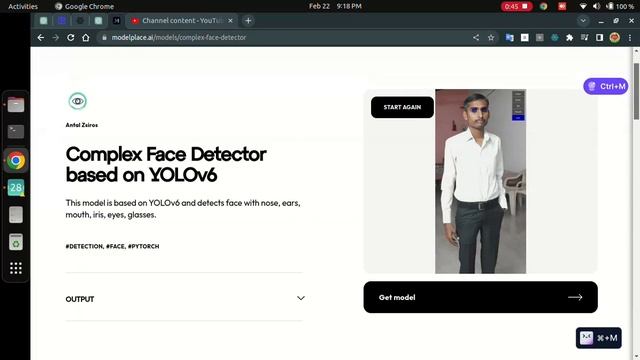 Complex Face Detector based on YOLOv6 смотреть онлайн