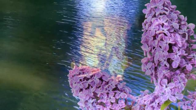 Ах,зачем болит душа песня из реп МАРГО кавер Г Погорельская смотреть онлайн