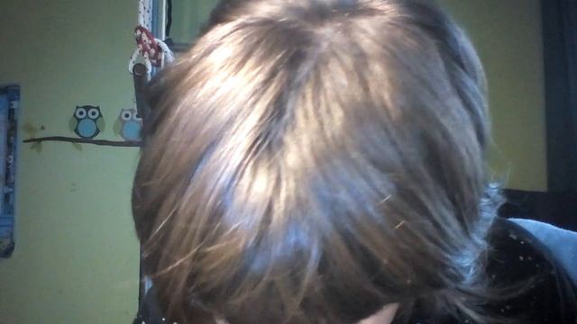 лепим снегиря