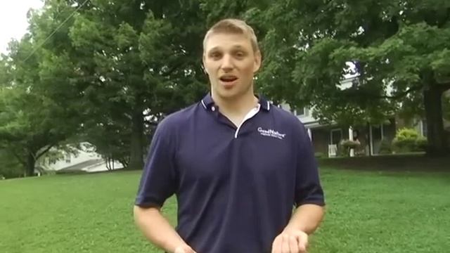 Microclover смотреть онлайн