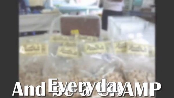 SENIOR HIGH SCHOOL JINGLE/SONG (JNCHS)