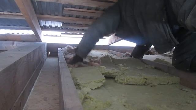 Утепляем потолок в предбаннике//Наши птицы занеслись//о просмотрах видеороликов//деревенские будни смотреть онлайн
