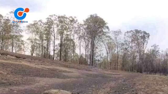 Gulp media|نماز یکه استرالیا را نجات داد смотреть онлайн