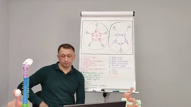 Взаимосвязь ЖКТ и вашего здоровья. Самомассаж живота 2 Юрий Чернолецкий смотреть онлайн