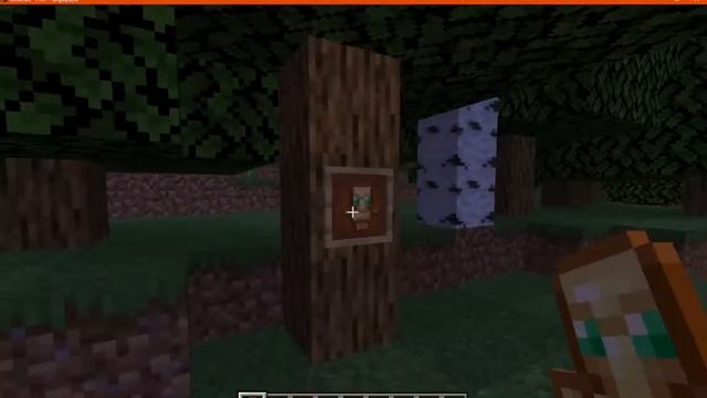 Totems 3D 1.15.2 & 1.16.1 Resource Pack Overview смотреть онлайн