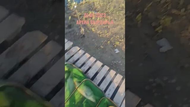 Рыбалка на СЫРДАРЬЕ 01.05.2023 #баликови 2023 Арена #рыбалканасырдарье #fishing #catching_fish смотреть онлайн
