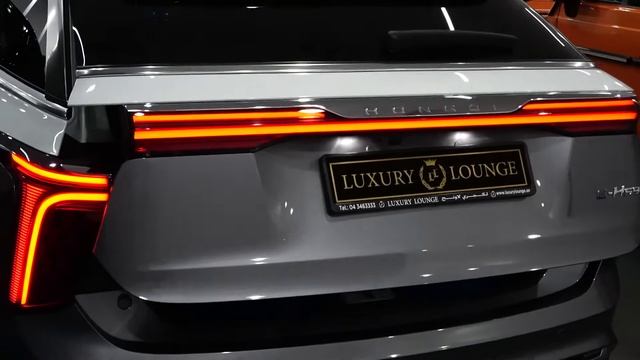 Hongqi E-HS9- Affordable Rolls-Royce Competitor!