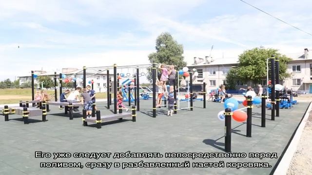 Навоз коровий – как применять для подкормок растений смотреть онлайн