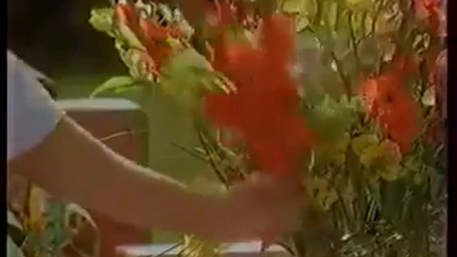 Музыка из рекламы Mentos - Ментос Свежее решение (Кипелов) (Россия) (1995)