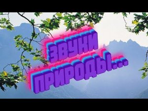 Звуки природы  *
