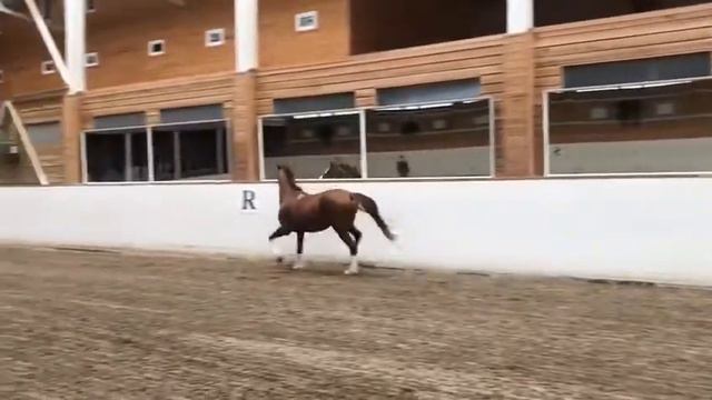 Габион смотреть онлайн