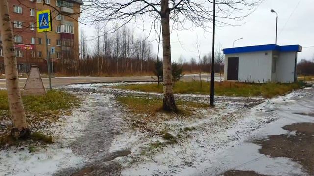КОЛЯ РИСКУЕТ ПОТЕРЯТЬ ДОСТУП К ДЕНЬГАМ САМВЕЛА смотреть онлайн