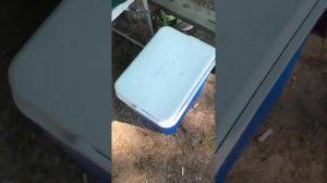 Как хранить продукты на природе