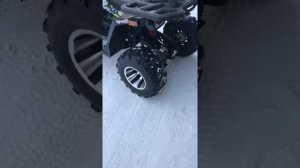 PROMAX STORM 300 PRO