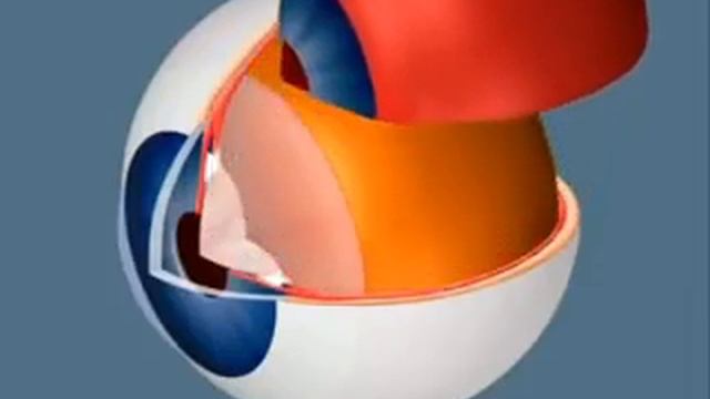 Строение и работа зрительного анализатора смотреть онлайн