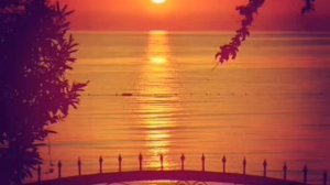 Иволга. Очень красивая песня.