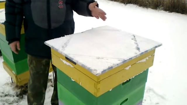 Контроль хода зимовки смотреть онлайн