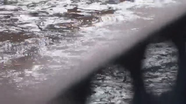 1941 стихи о петербурге смотреть онлайн