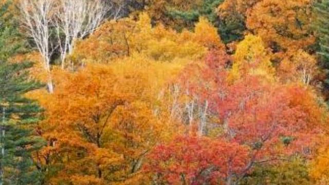 ЮЛИАН Я с тобой смотреть онлайн