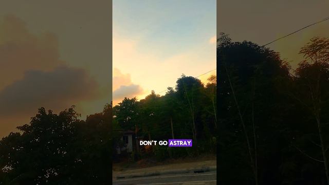 Kneel down and pray (lyrics)by: Bro Daniel Razon(MCGII смотреть онлайн