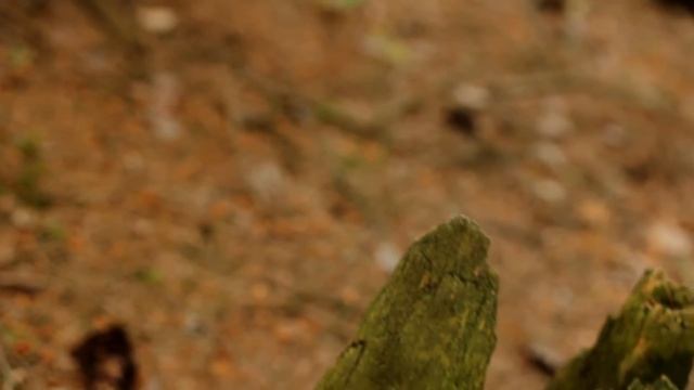 Макро видео. Оборудование смотреть онлайн