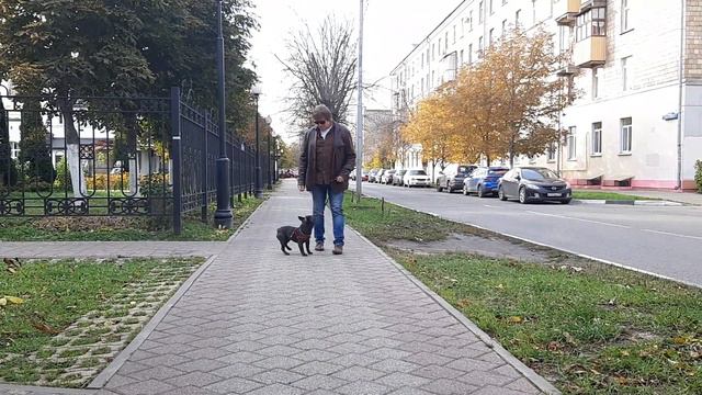 Поэзия от Геннадия смотреть онлайн