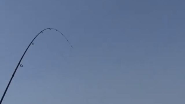 Nasha Rybalka Okunevaja Rybalka Ultralajt 2011 DVDRip Nick смотреть онлайн