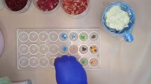 Создание открытых конфет из шоколада с начинкой из сублимированных ягод