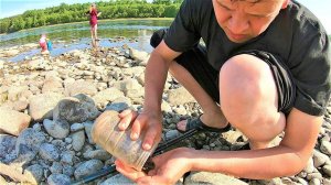 Летние деньки в деревне