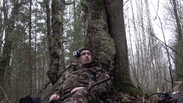 Охота на рябчика Non stop #6 \ ИЖ-94 "Север" 22LR Две попытки смотреть онлайн