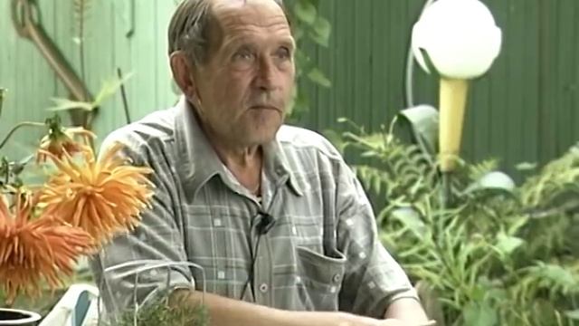 Размышления садовода о дизайне сада смотреть онлайн