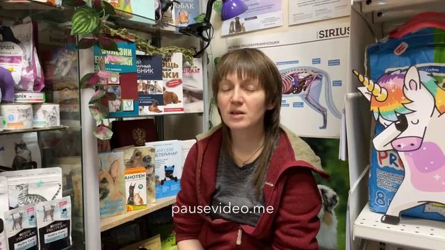 Craftia/Обзор Крафтия для кошек