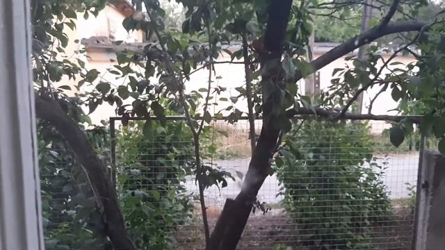 Ремонт дома 1960 года постройки (начало) смотреть онлайн