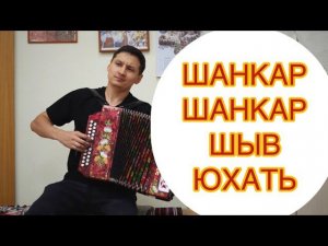 Шăнкăр-шăнкăр шыв юхать на гармони. Чувашская песня на гармони.