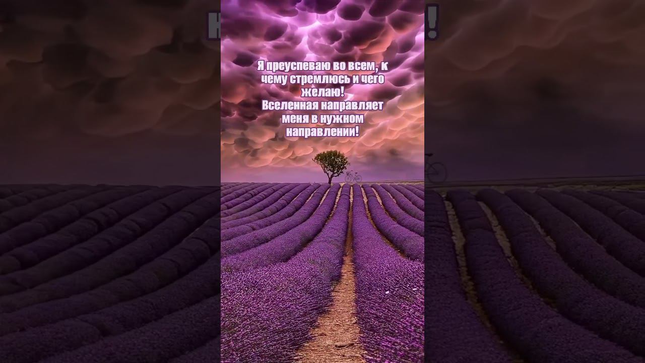 преуспеваю во всем к чему стремлюсь! #аффирмации #любовь #жизнь #душа #изобилие #психология #love смотреть онлайн