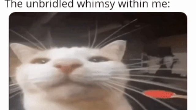 the unbridled whimsy смотреть онлайн
