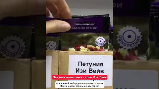 Обзор семян АМПЕЛЬНЫХ петуний! Сезон 2023-2024 года!