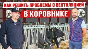 Установка вентиляции в коровнике | Оборудование фермы | Реконструкция коровника | Содержание КРС