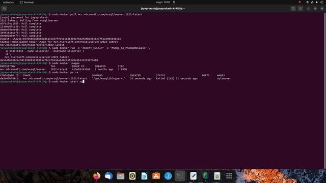 How to run SQL Server Linux container images with Docker смотреть онлайн