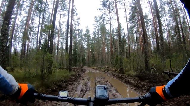 На курорт с купанием (Ольшаники, Коробицыно, Черниговка) 4 ноября 2020 смотреть онлайн