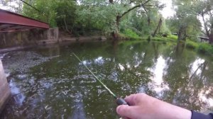 Мормышинг на ручейке, окуньки и злотобокий трофей