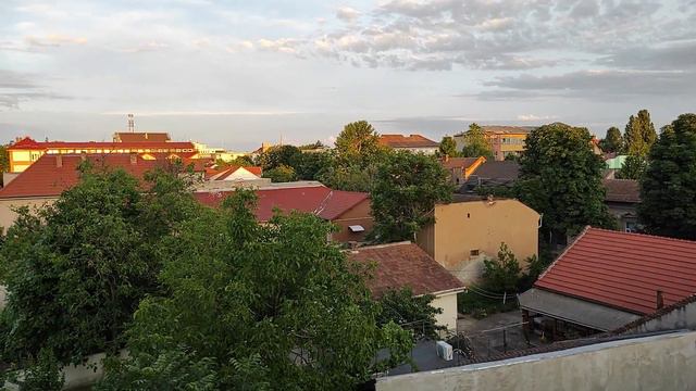 Test Rode Lavalier Go смотреть онлайн