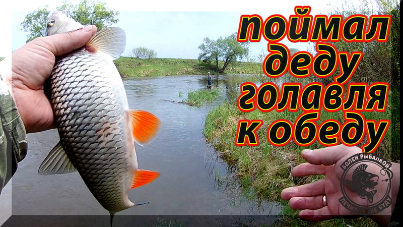 Ловля Голавля на Спиннинг весной. Разловил Crucian Crank, Chubby 38. Fishycat iCat опять отличился. смотреть онлайн