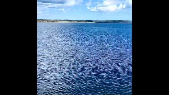 Весенняя рыбалка у Михалыча .Щука у Михалыча. смотреть онлайн